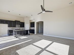 1429  Torrent Drive , Little Elm Texas 75068