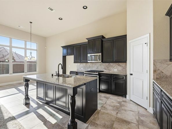 1429  Torrent Drive , Little Elm Texas 75068