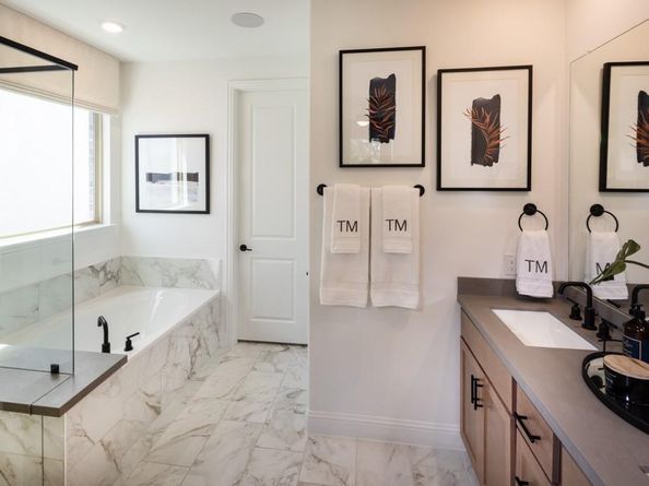 550  Wisteria Street , Oak Point Texas 75068