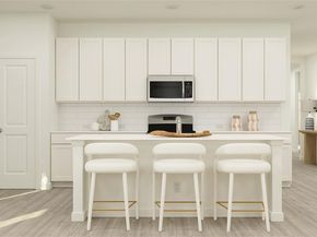 3145  Burmese Street , Providence Village Texas 76227