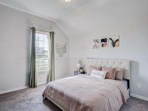 101  St Meena Court , Fort Worth Texas 76120