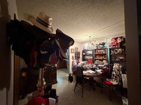 317  Long Shadow Lane , Mesquite Texas 75149