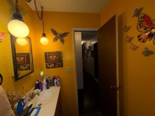 317  Long Shadow Lane , Mesquite Texas 75149