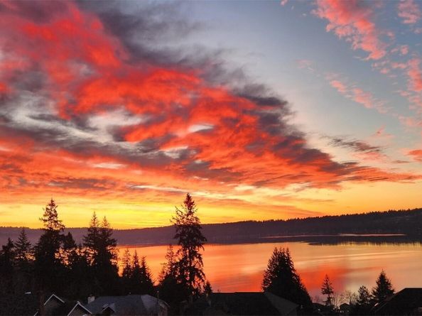 535 208th Avenue NE, Sammamish WA 98075