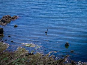 9551 NE South Beach Drive 1A, Bainbridge Island WA 98110