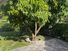 111 SW 24th Ave, Miami FL 33135