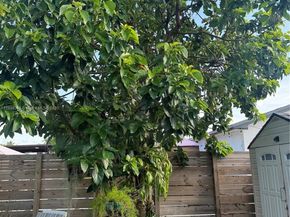 26553 SW 125th Ct, Homestead FL 33032