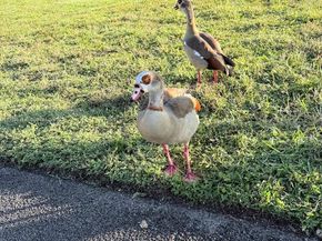 7900 NW 50th St 304, Lauderhill FL 33351