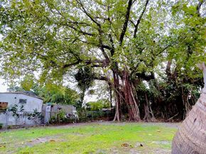 3176 NW 59th St, Miami FL 33142