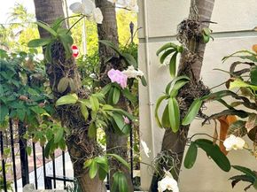 349 Meridian Ave B202, Miami Beach FL 33139