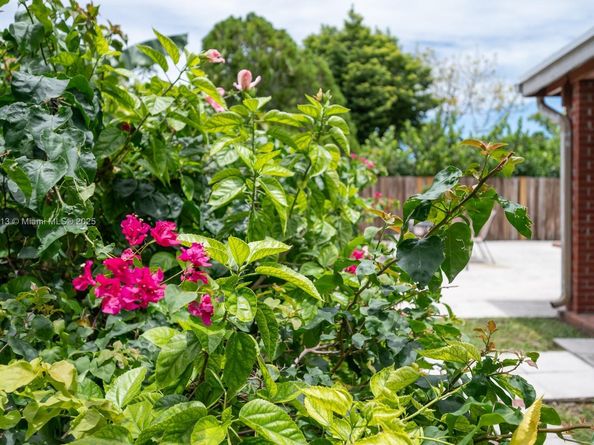 4235 SW 97th Ave, Miami FL 33165