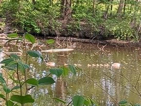 66 Canal C, Medford MA 02155