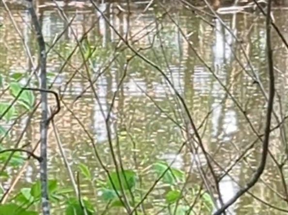 66 Canal C, Medford MA 02155