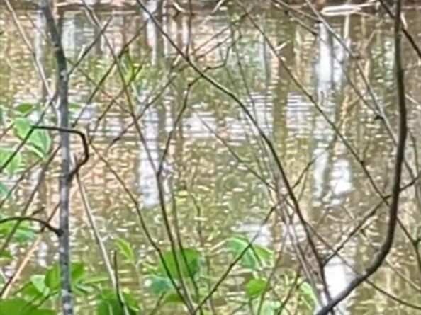 66 Canal C, Medford MA 02155