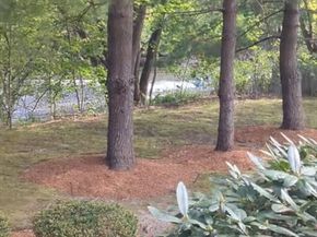 66 Canal C, Medford MA 02155