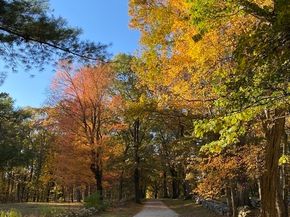 29 South Commons Road D, Lincoln MA 01773