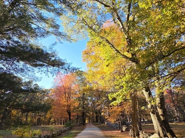 29 South Commons Road D, Lincoln MA 01773