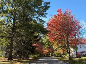 29 South Commons Road D, Lincoln MA 01773