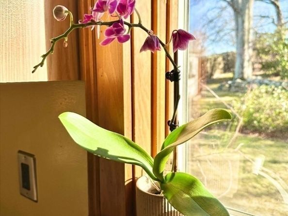 220 Parkland Avenue, Lynn MA 01905