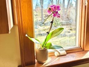 220 Parkland Avenue, Lynn MA 01905