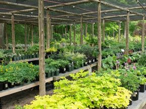 373 N Franklin St, Holbrook MA 02343