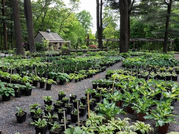 373 N Franklin St, Holbrook MA 02343