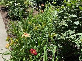 2400 Beacon 102, Boston MA 02467