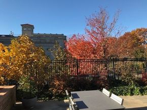 2400 Beacon 102, Boston MA 02467