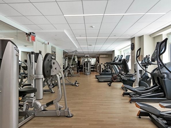 151 Tremont Street 24D, Boston MA 02111