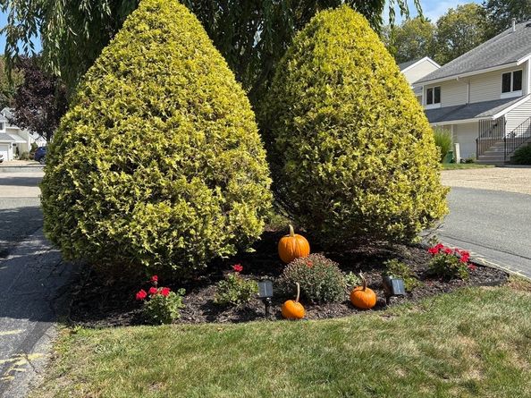 103 Centre Ln 103, Walpole MA 02081