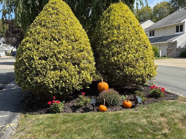 103 Centre Ln 103, Walpole MA 02081