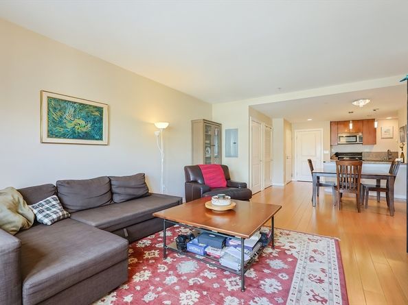 16 Miner 501, Boston MA 02215