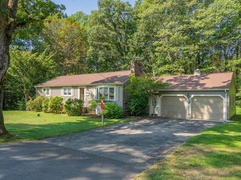 47 Paxton Road