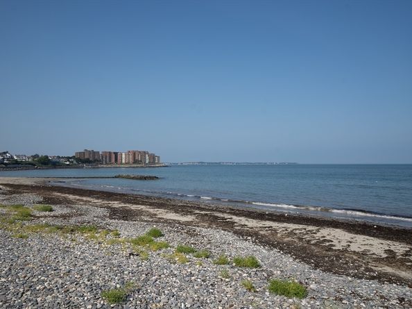 212 Winthrop Shore Drive 1, Winthrop MA 02152