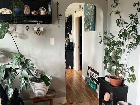 37 Adams Street, Worcester MA 01604
