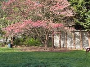 175 West St, Braintree MA 02184