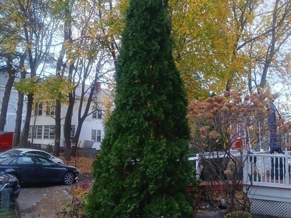 156 Summer St, Fitchburg MA 01420