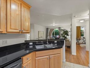 1390 Saddle Rack Street 223, San Jose CA 95126