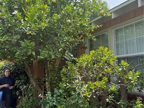 6030 Coldwater Canyon, North Hollywood (los Angeles) CA 91606