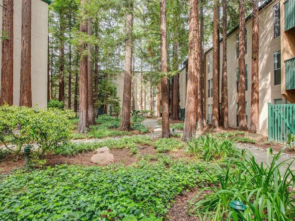 175 Sierra Dr 309, Walnut Creek CA 94596