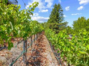8146 Vomac Ct, Dublin CA 94568