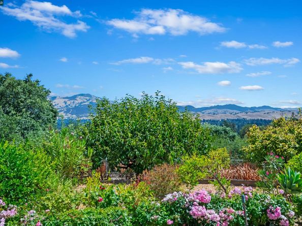 7 Sky Terrace, Danville CA 94526