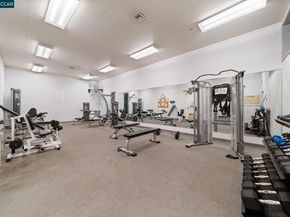 320 N Civic Drive 407, Walnut Creek CA 94596