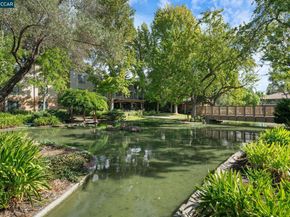 320 N Civic Drive 407, Walnut Creek CA 94596