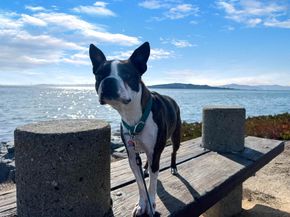 1901 Maritime Way, Richmond CA 94804