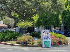 371 Ocean View Ave, Kensington CA 94707