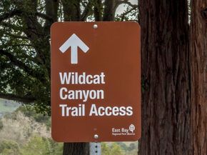 371 Ocean View Ave, Kensington CA 94707