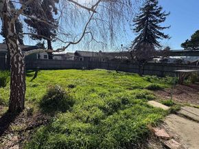 1266 Washington Ave, Albany CA 94706