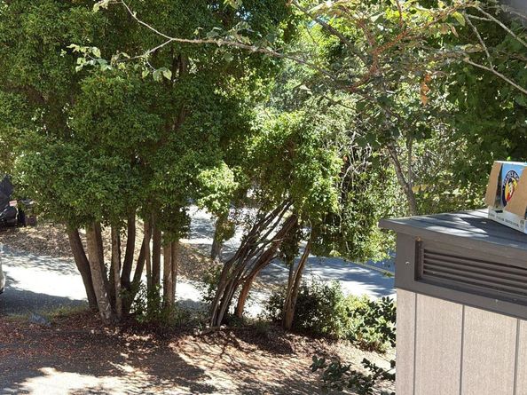 5630 Moraga Ave, Piedmont CA 94611