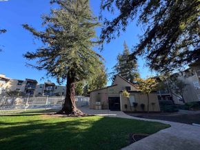 1087 Murrieta Blvd 243, Livermore CA 94550